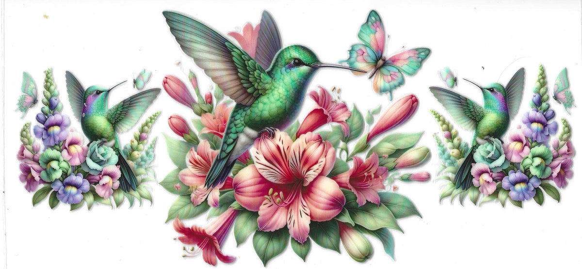 Birds