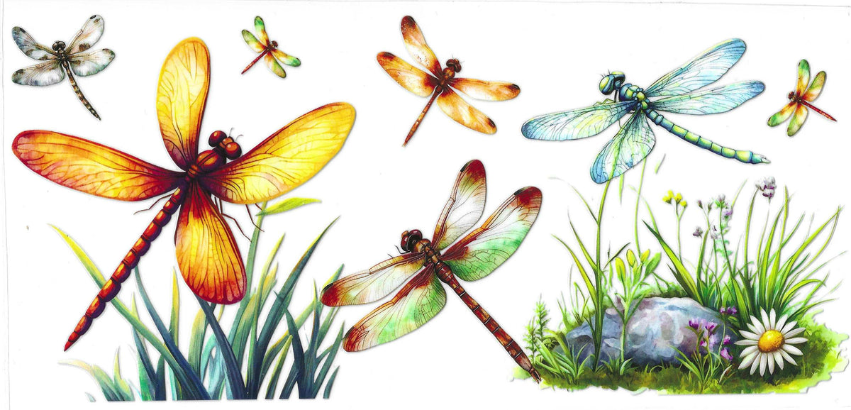 Dragonfly