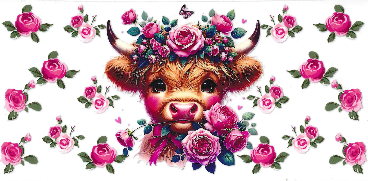 Highland Cows
