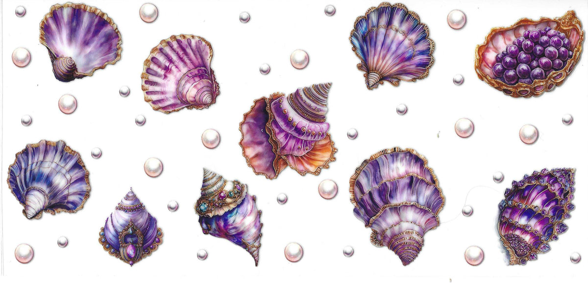 Seashells