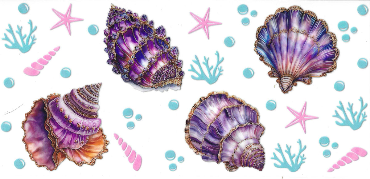 Seashells